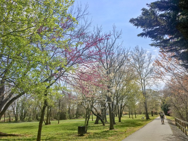 A8993B90-4D81-49ED-9090-1E7181546896