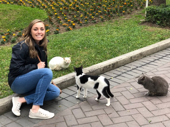 bvuS2Jp7RpWfM2G8WzSw%Q