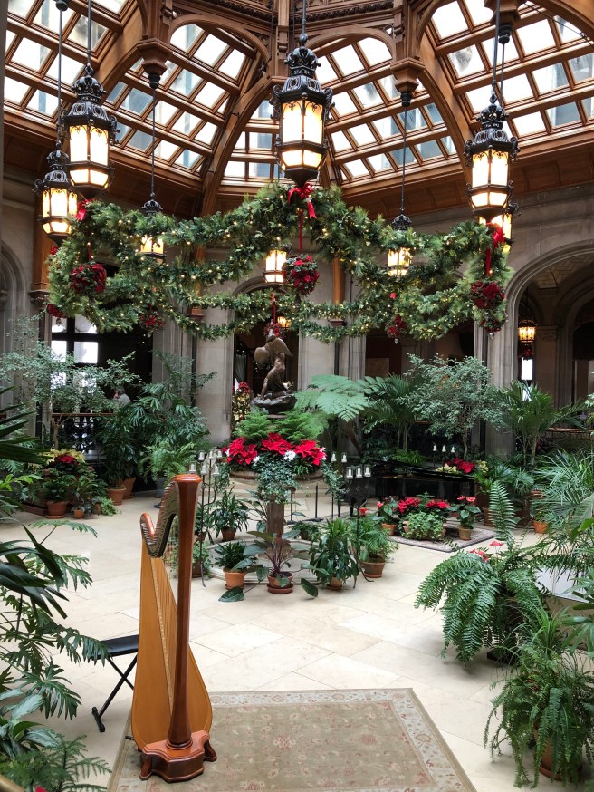 HyccDYwnQZm1tolCNvYtmw