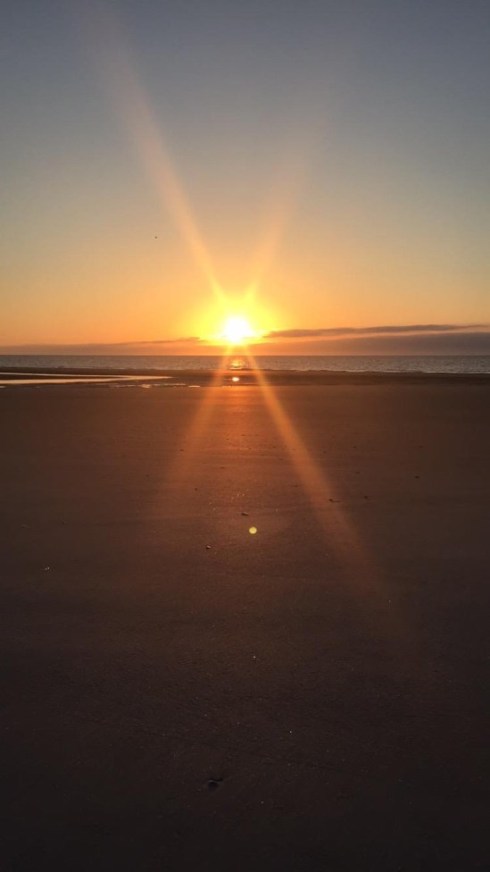 475ED84C-DFF6-40D4-9B26-16976851433D