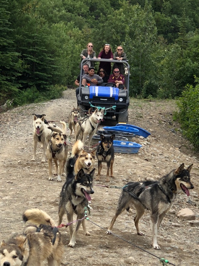 UvDTpOSLQYSMBV63NVR0eA