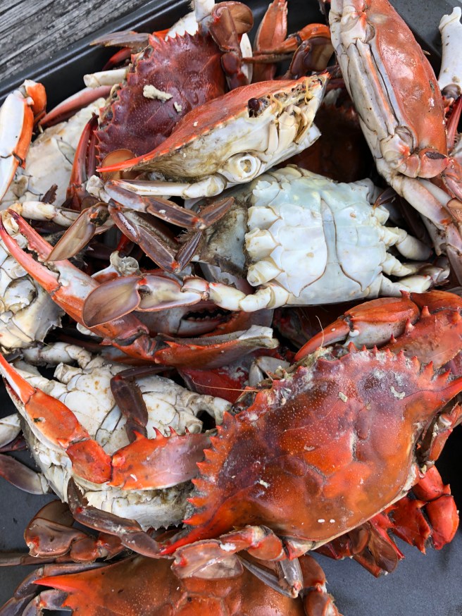 7326B55A-9617-4A31-8F6A-8F12BF714E4F