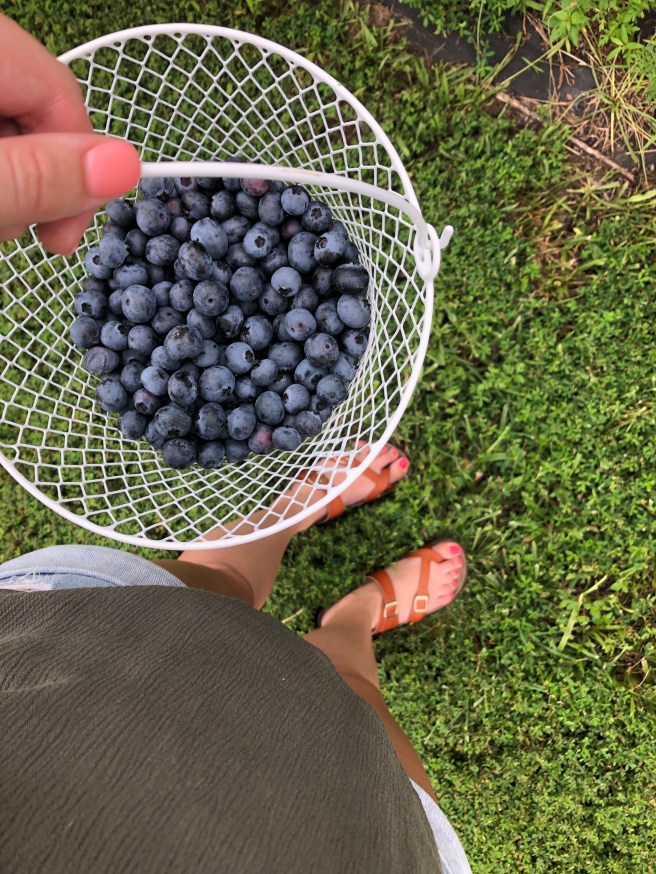 FBC93308-FCEA-4EBC-8FD8-F0D6547360DE