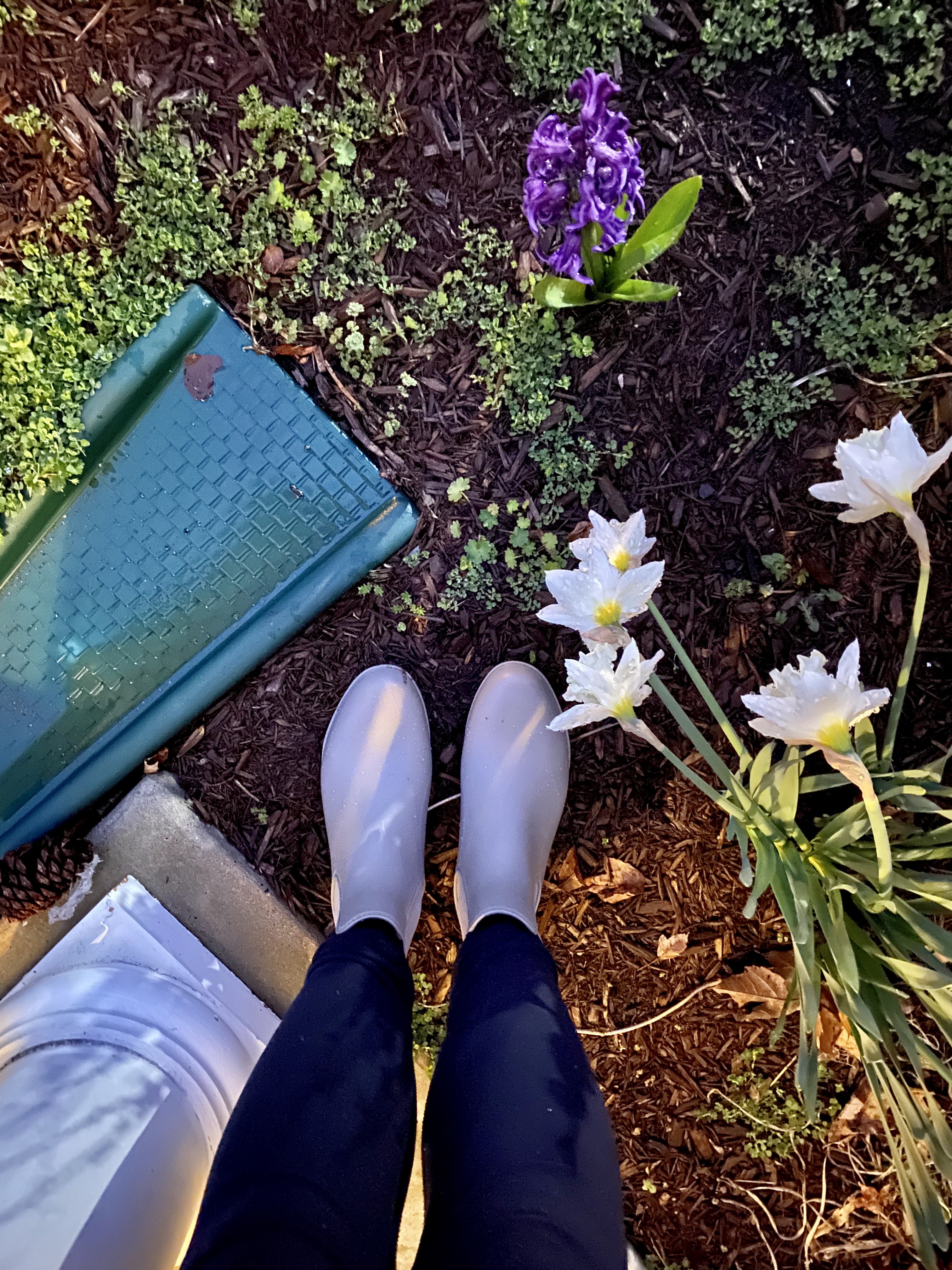 8B79A9C5-6529-4FF6-8AAD-42226A51FBCB