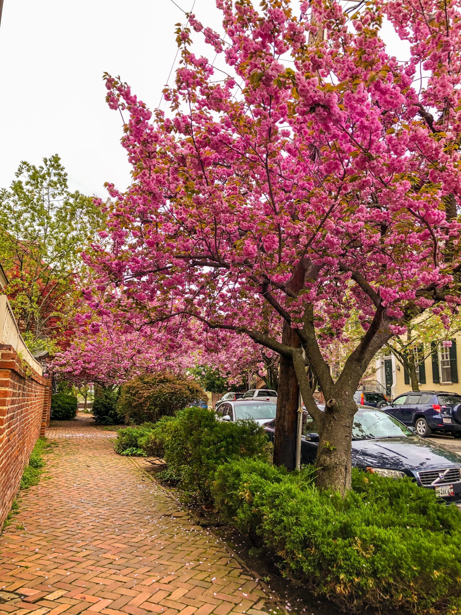 ef96e5ab-8712-490d-ace7-8635b6f054d7