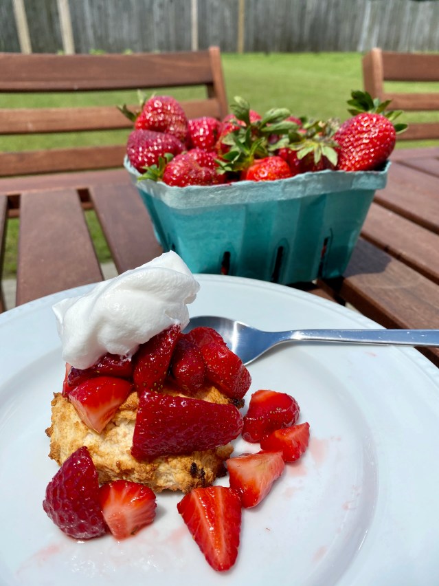 B435D2BA-B5CB-4351-92B0-9DFFFF59B178